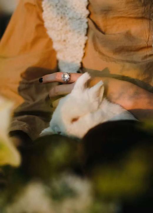 山中高士晶莹雪 | 白蛋白钻戒指耳环套装 商品图3