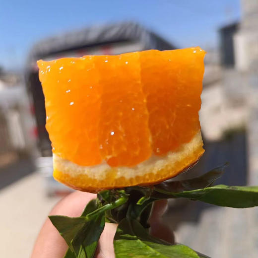 【亿得鲜】云南大理高原沃柑 皮薄肉厚 细嫩多汁 生长周期长 晒足阳光 风味十足 商品图3