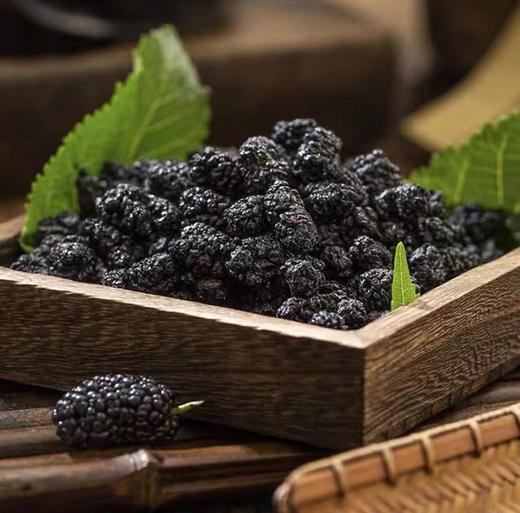 【桑葚干】新疆黑桑葚精选泡茶水新果子非冻干大果泡酒 商品图0