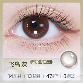 【彩瞳】新品上架 海昌Flyone-O2light系列彩瞳日抛10片-飞鸟灰