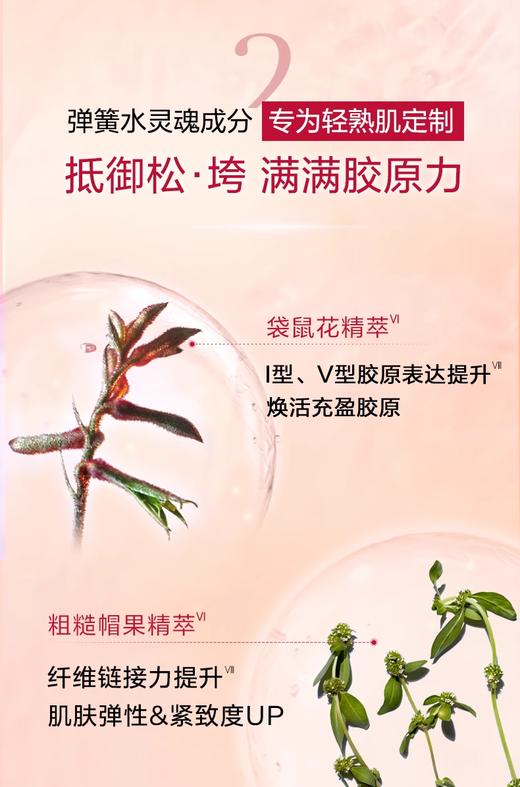 【航免仓】CLARINS娇韵诗弹簧水200ml 商品图4