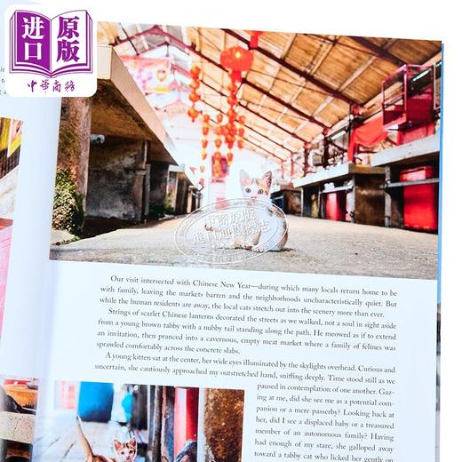 【中商原版】世界的猫 英文原版 Cats of the World Hannah Shaw and Andrew Marttila 小猫救助夫妻 旅途中的猫咪 商品图2