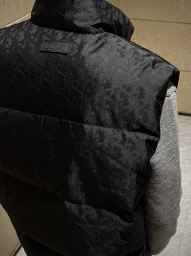 CD 24fw oblique 科技暗纹提花满印羽绒背心马甲