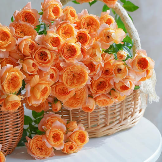 果汁阳台泡泡，多头玫瑰，一束10支 商品图1