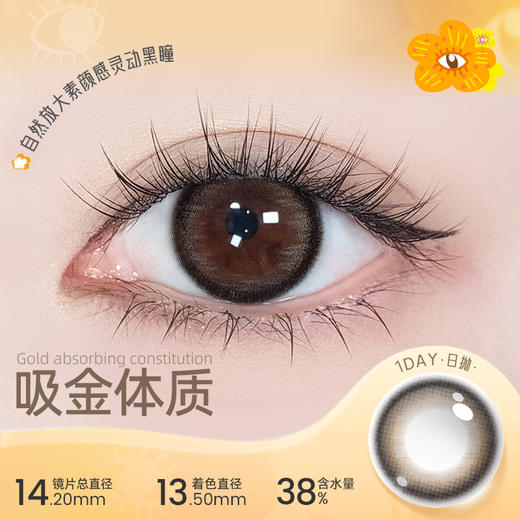 【彩瞳】海昌异想Artist日抛10片-吸金体质 商品图0