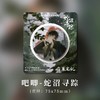 kinbor 盗墓笔记 蛇沼寻踪 吧唧 徽章 国谷 商品缩略图0