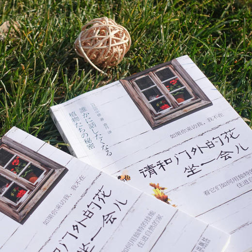 请和门外的花坐一会儿 商品图2
