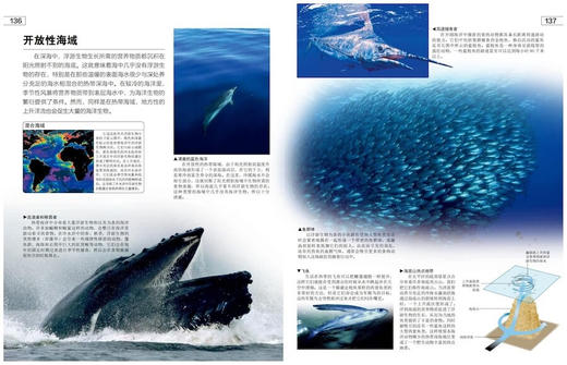 DK探索百科：地球（精装） 商品图2