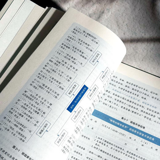 以从容之姿面对未来 小学生涯教育理论与实务 中小学生成长指导 商品图10