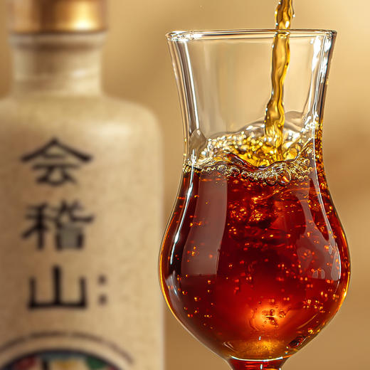会稽山官旗  绍兴黄酒加饭酒花雕酒G20黄酒250ml*2礼盒20年陈酿正宗老酒 商品图2