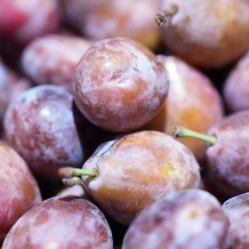 智利空运西梅-2.5kg