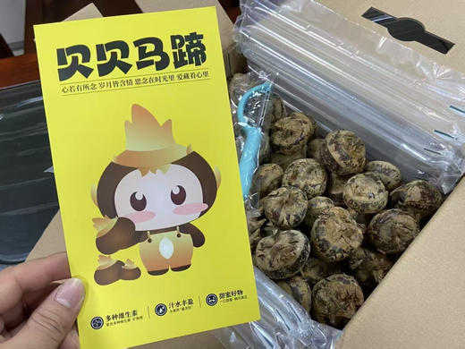 空运✈️水果马蹄
生吃是水果，熟吃是良yao，具有清热下火、清热除燥、润肺zhike等功效，脆甜多汁，被称为“润燥之果”
一箱净果4斤 商品图2
