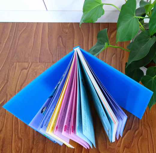 DK智力训练手册 商品图1