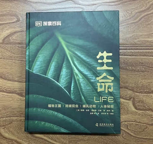 DK探索百科：生命寒假阅读寒假课外书课外寒假自主阅读假期读物 商品图2