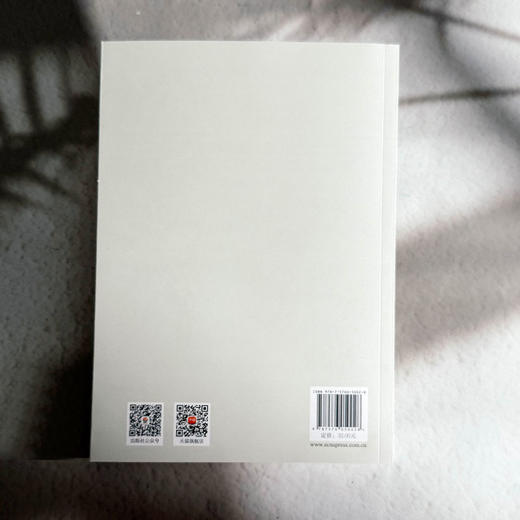 以从容之姿面对未来 小学生涯教育理论与实务 中小学生成长指导 商品图2