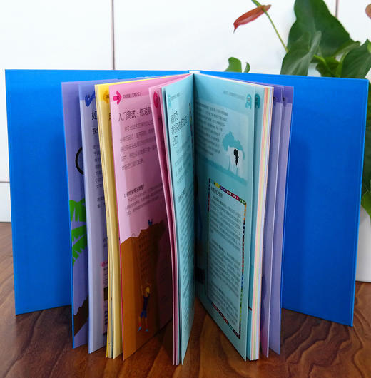 DK智力训练手册 商品图4