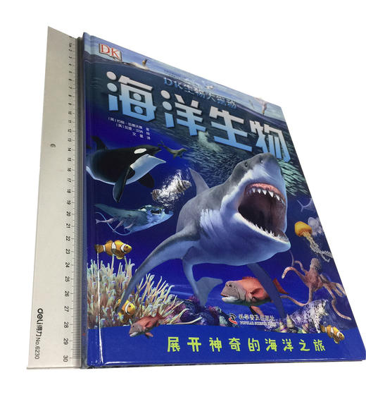 DK生物大揭秘：海洋生物寒假阅读寒假课外书课外寒假自主阅读假期读物 商品图1