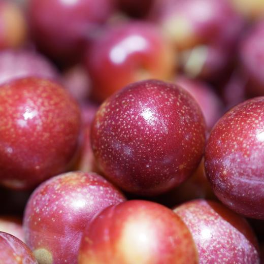 智利樱桃李-2.5kg 商品图0