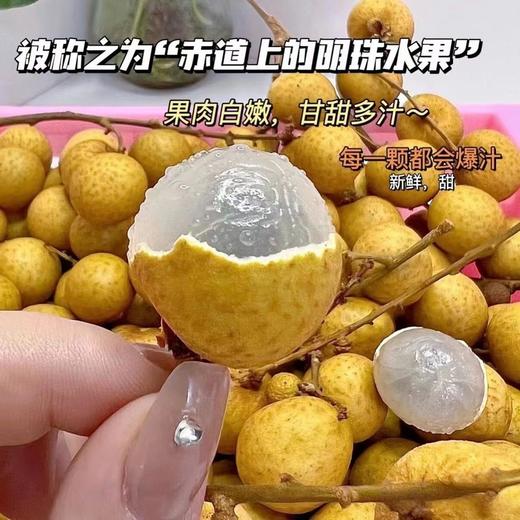 泰国龙眼【特大果】 |进口水果 商品图1