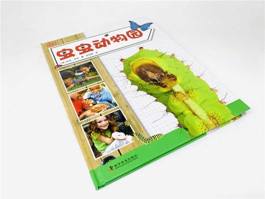 DK虫虫动物园 商品图3