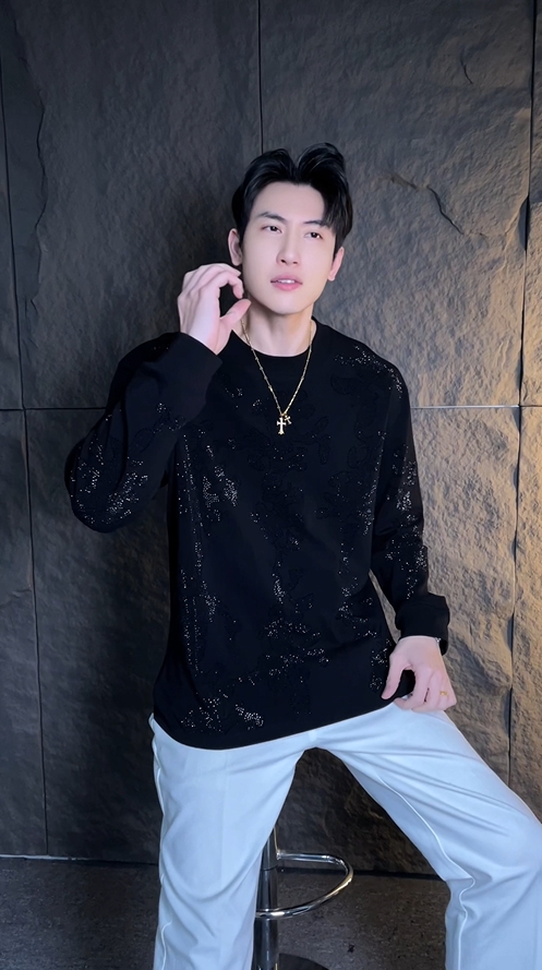 T2214秋冬季新款时尚个性纯色亮闪韩版圆领时尚设计感小众百搭上衣