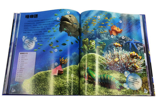 DK生物大揭秘：海洋生物寒假阅读寒假课外书课外寒假自主阅读假期读物 商品图5
