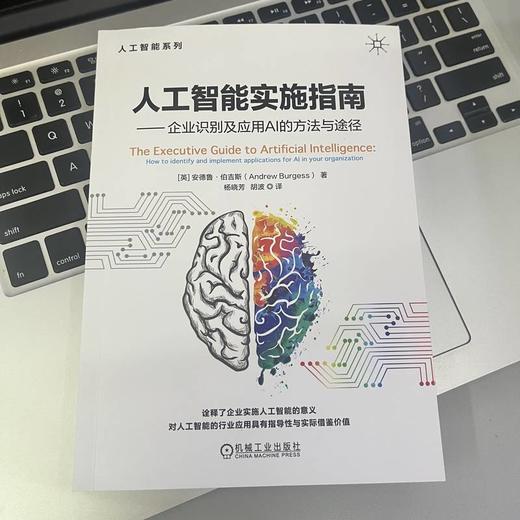 人工智能实施指南——企业识别及应用AI的方法与途径 商品图2