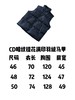 CD 24fw oblique 科技暗纹提花满印羽绒背心马甲 商品缩略图12