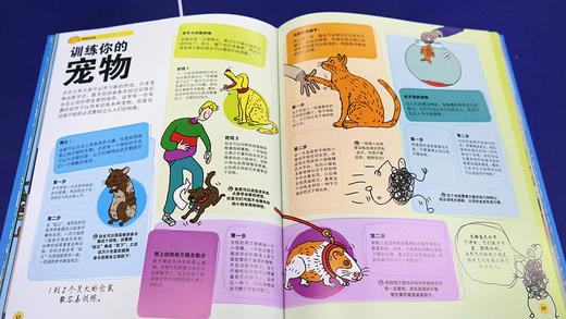 DK有趣的大脑训练手册（精装） 商品图5