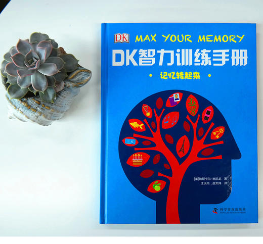DK智力训练手册 商品图3
