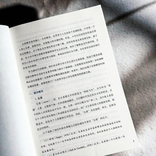 以从容之姿面对未来 小学生涯教育理论与实务 中小学生成长指导 商品图8