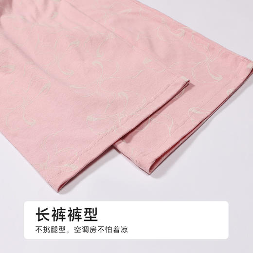 都市丽人女士棉质短袖套装薄40支TC拉架会员精选短袖类LHH2J1 商品图8