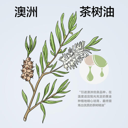 【新品上新】有棵树2025新款春夏短袖凉感可外穿情侣家居服套装-S0102 商品图1