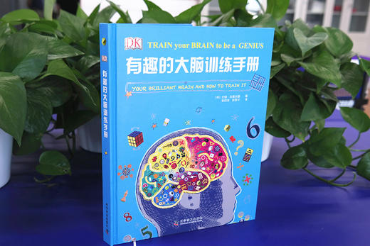 DK有趣的大脑训练手册（精装） 商品图1