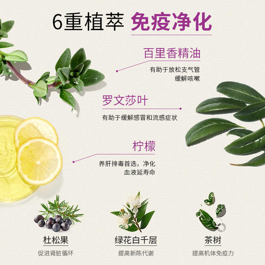 olioseptil久木之名法国口服精油免疫精油提高免疫力净化排毒 商品图4