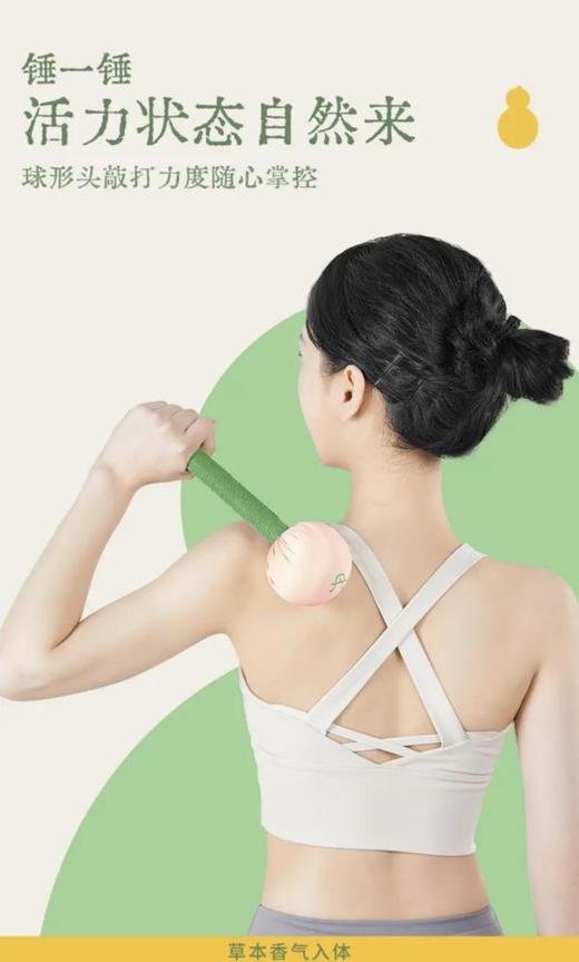 真不二养生丹锤 商品图1