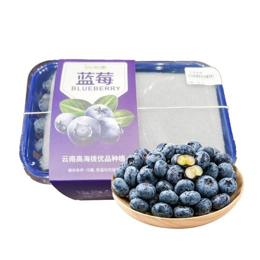 花香蓝莓18-22+（盒）约500g 商品图0