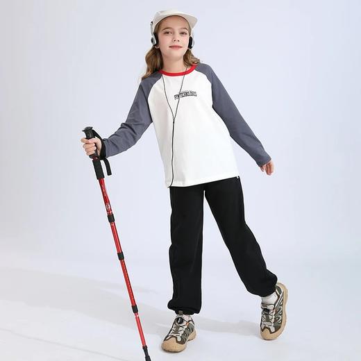 龙之涵2025年春季新品毛圈棉吸汗卫裤 商品图5