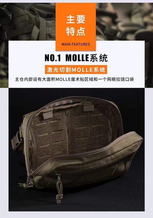 德国塔虎TT 战术包8.1户外运动跑步健身休闲收纳腰包挎包防泼水 商品图11