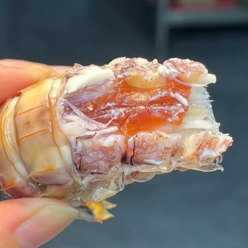 〔产地直发包邮17〕全母皮皮虾