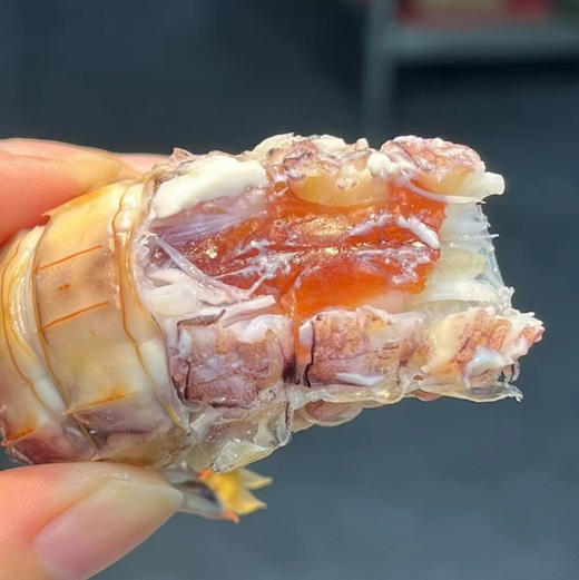 〔产地直发包邮17〕全母皮皮虾 商品图0