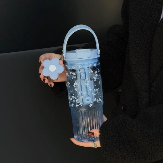 世大家吸管杯大容量水杯2025新款860ml    SY 商品图0