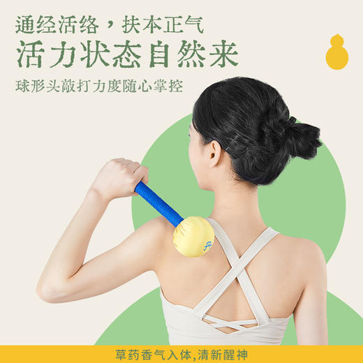 真不二养生丹锤 商品图0