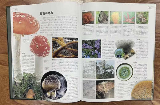 DK探索百科：生命寒假阅读寒假课外书课外寒假自主阅读假期读物 商品图5