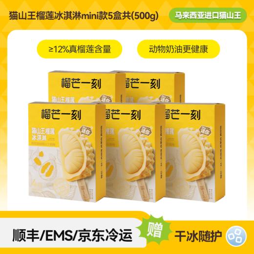 【榴芒一刻】猫山王榴莲冰淇淋100克(25g*4)Mini款 商品图5