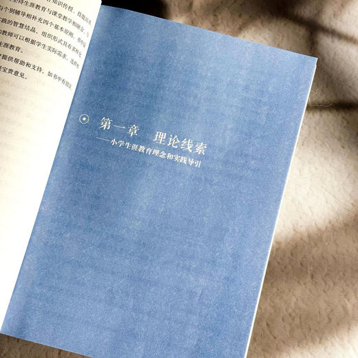 以从容之姿面对未来 小学生涯教育理论与实务 中小学生成长指导 商品图7