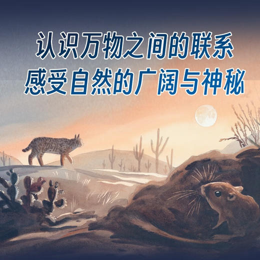 （3-10岁）谢谢你，月亮 儿童科普绘本 商品图1