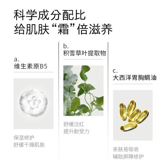 Haa四款经典面霜神经酰胺依克多因小面霜修复皮肤屏障隔离补水高保湿滋润乳液 商品图2