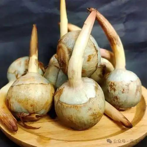 【生鲜预定】茨菇 商品图0