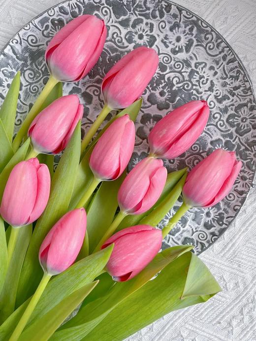 年宵花卉郁金香鲜切花10支 商品图6